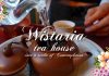 Wistaria Tea House จิบชาในห้องสไตล์ญี่ปุ่นใจกลางไทเป